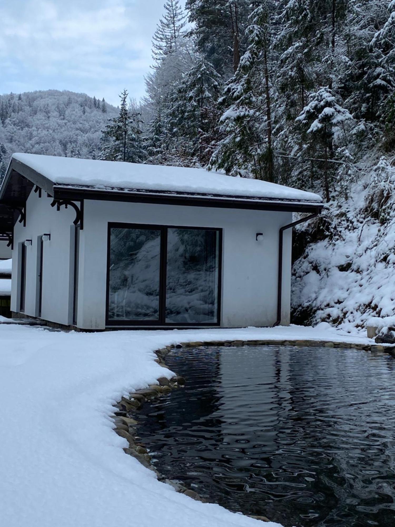 Cottage house Mizhhirya  Eksteriør bilde
