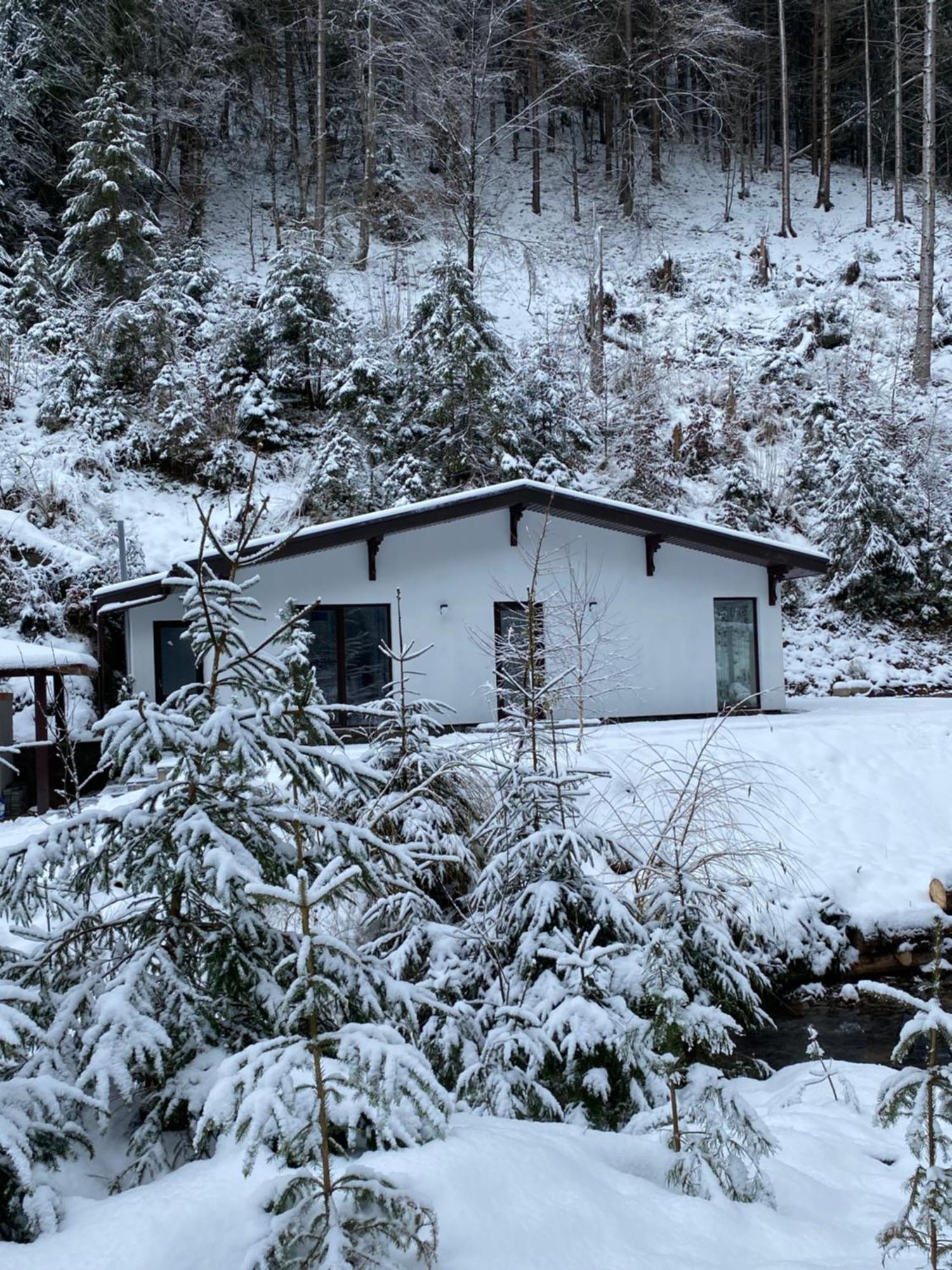Cottage house Mizhhirya  Eksteriør bilde