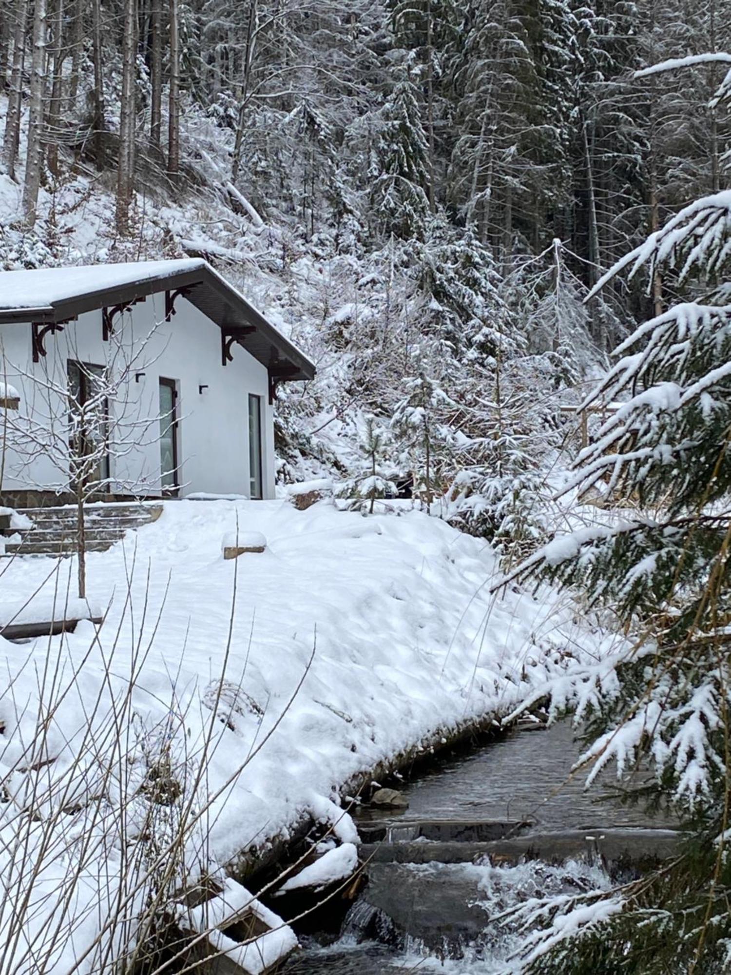 Cottage house Mizhhirya  Eksteriør bilde